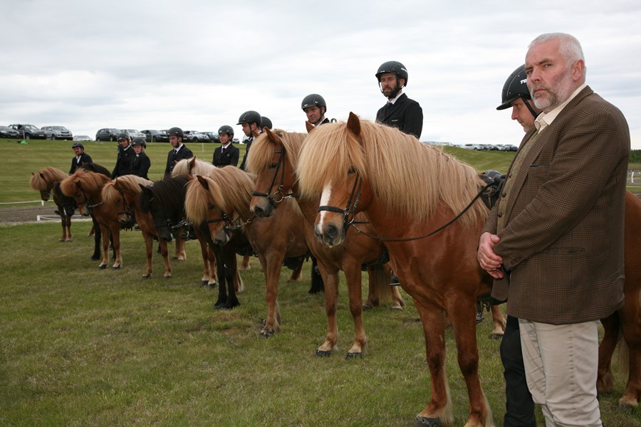Handhafi Sleipnisbikarsins árið 2020 var Skýr frá Skálakoti, sem stillti sér upp með afkvæmum sínum og eigendum, þeim Jakobi Svavari Sigurðssyni og Guðmundi Viðarssyni, á Landssýningu kynbótahrossa.