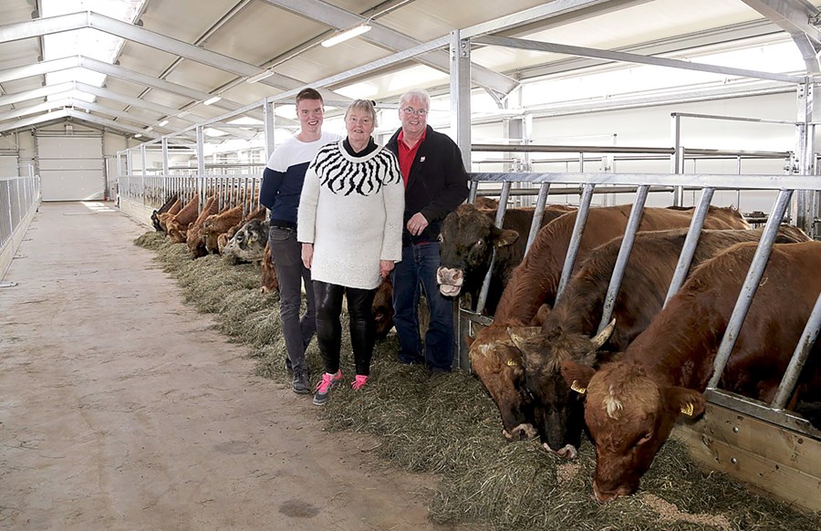 Jón Þór Marinósson bústjóri með foreldrum sínum og eigendum eldishússins, Margréti Magnúsdóttur og Marinó Tryggvasyni. Á innfelldu myndinni eru kálfar sem settir eru í stíur vikugamlir og fara þaðan í næstu stíur þremur mánuðum síðar.