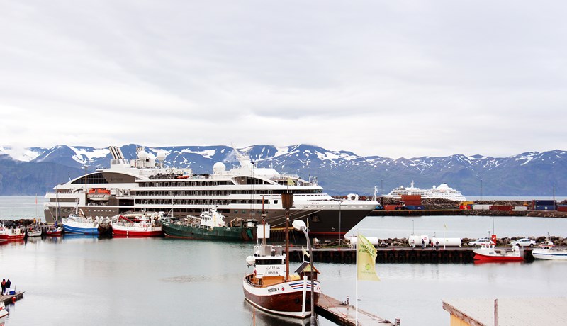 Mikil gróska í hvala- og náttúruskoðun