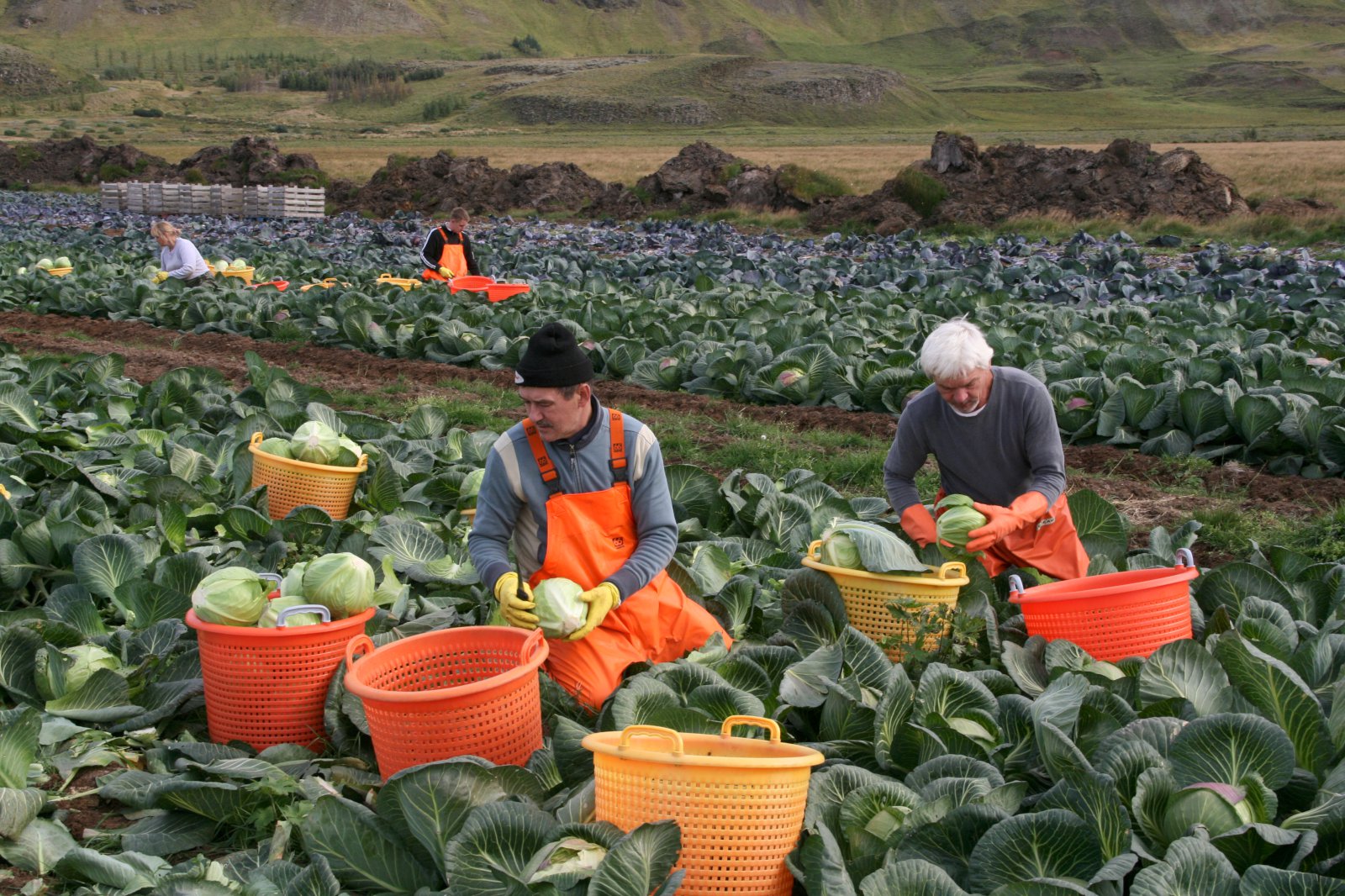 Matvælaframleiðsla skiptir allar þjóðir máli