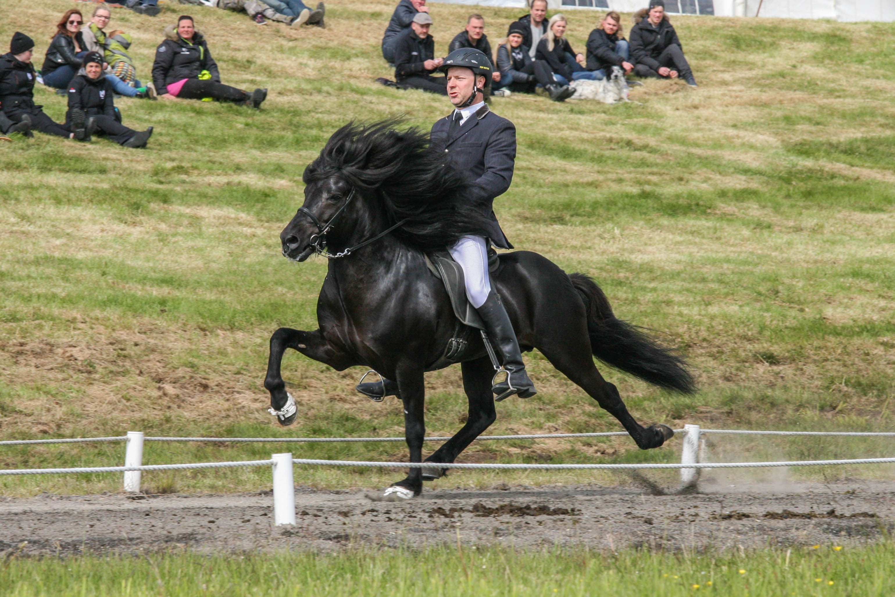 Greindi tölt og skeið með háhraðamyndavélum