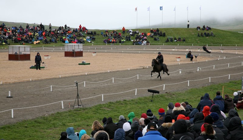 Hólar verði þjóðarleikvangur íslenska hestsins