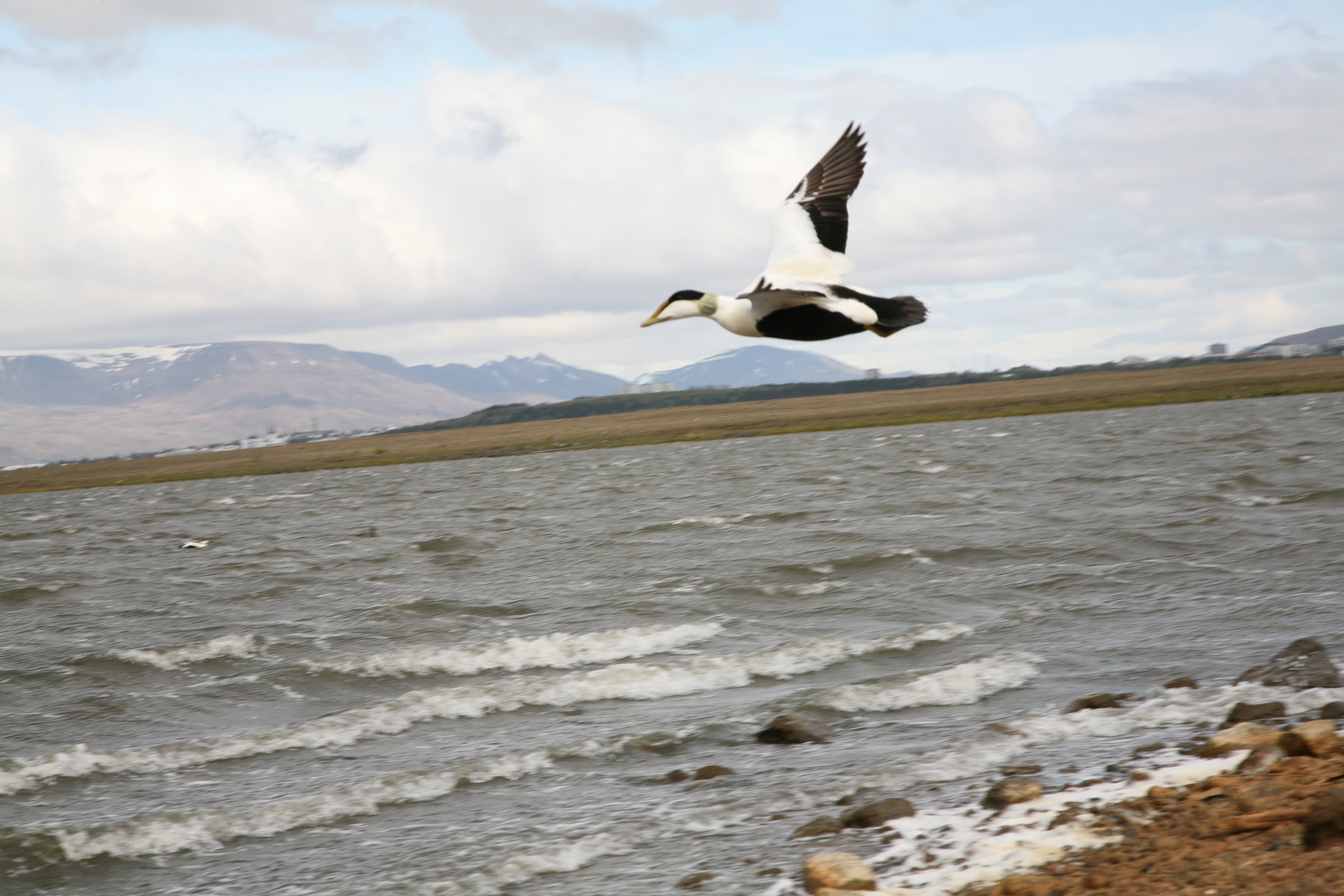 Tíminn líður áfram