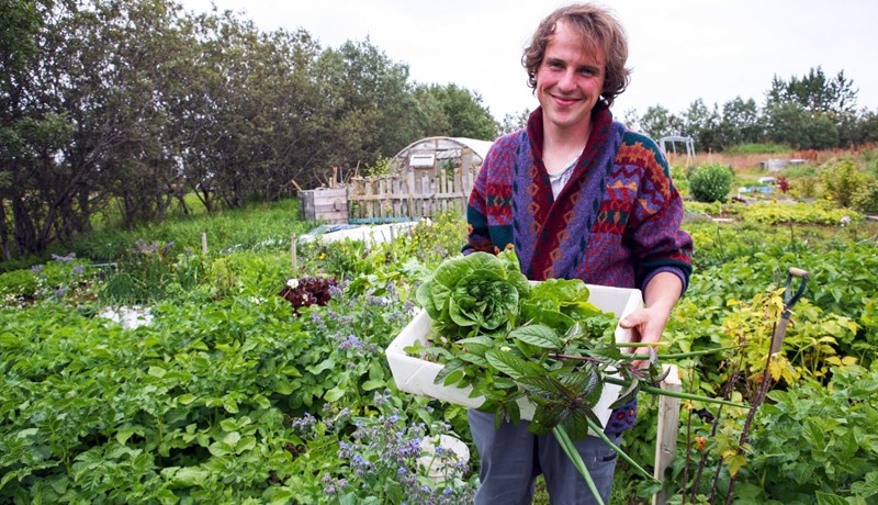 Mannbætandi félagslandbúnaður