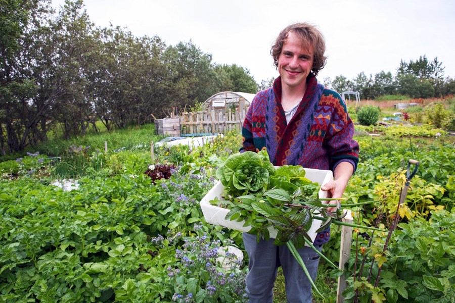 Ræktandinn Sigurður Unuson færði blaðamanni gnægð af fersku grænmeti.