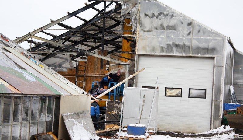 Uppbygging hafin hjá Garðyrkjustöðinni Brúnalaug