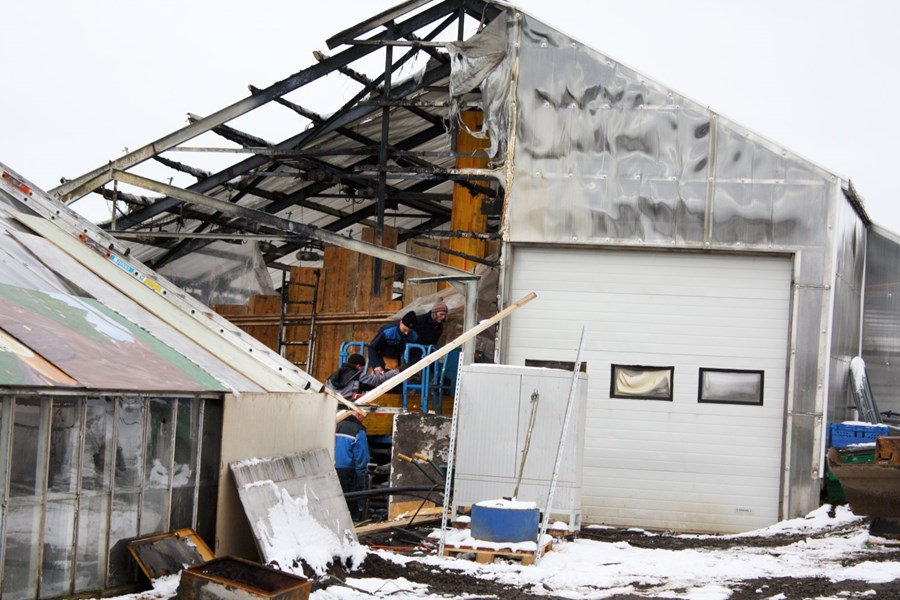 Til stóð að senda fyrstu uppskeru frá garðyrkjustöðinni á Brúnalaug á markað síðastliðinn föstudag. Eldur kom upp nóttina á undan og gerði þær áætlanir að engu. Hér er unnið að björgunarstörfum.
