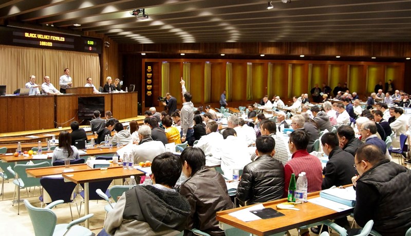 Íslenskir minkabændur bíða spenntir eftir næsta skinnauppboði í janúar