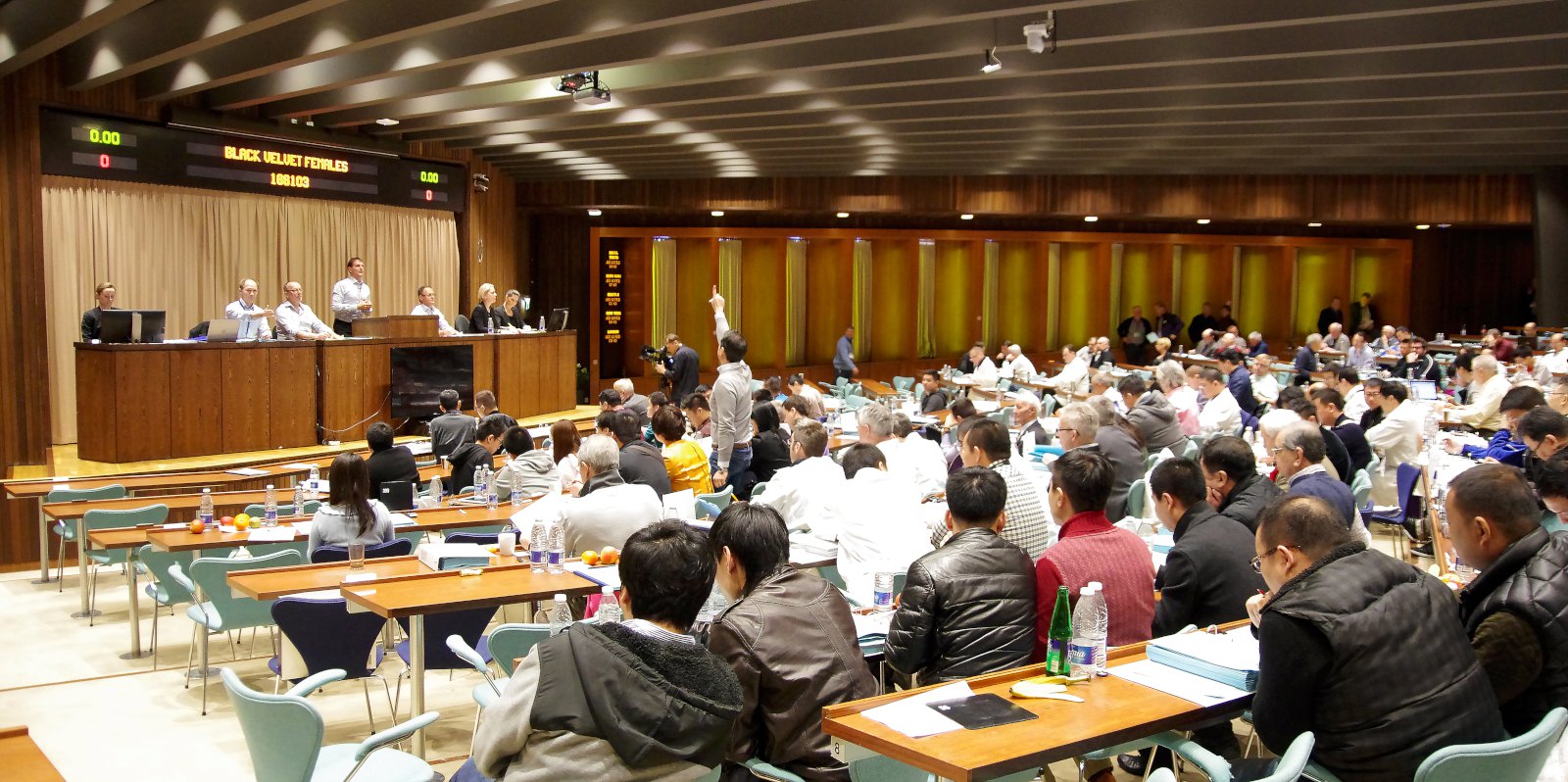 Minkaskinn lækka enn í verði