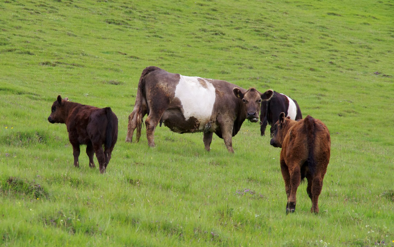 Skammur tími til stefnu