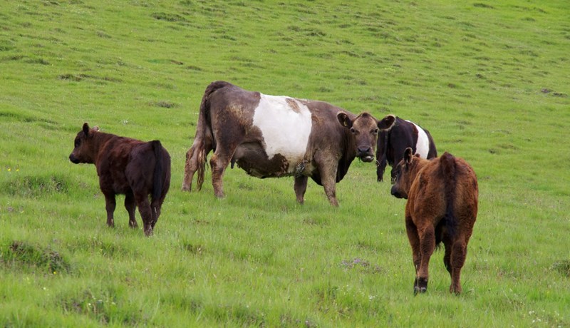 Skammur tími til stefnu