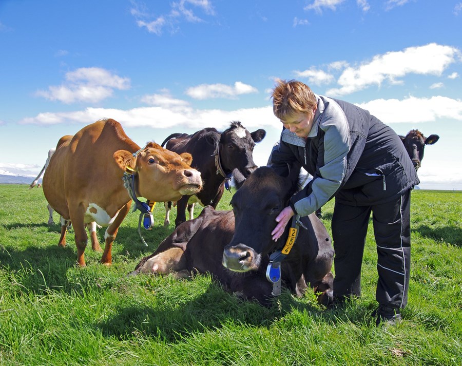 Einstaklega ljúf og skapgóð