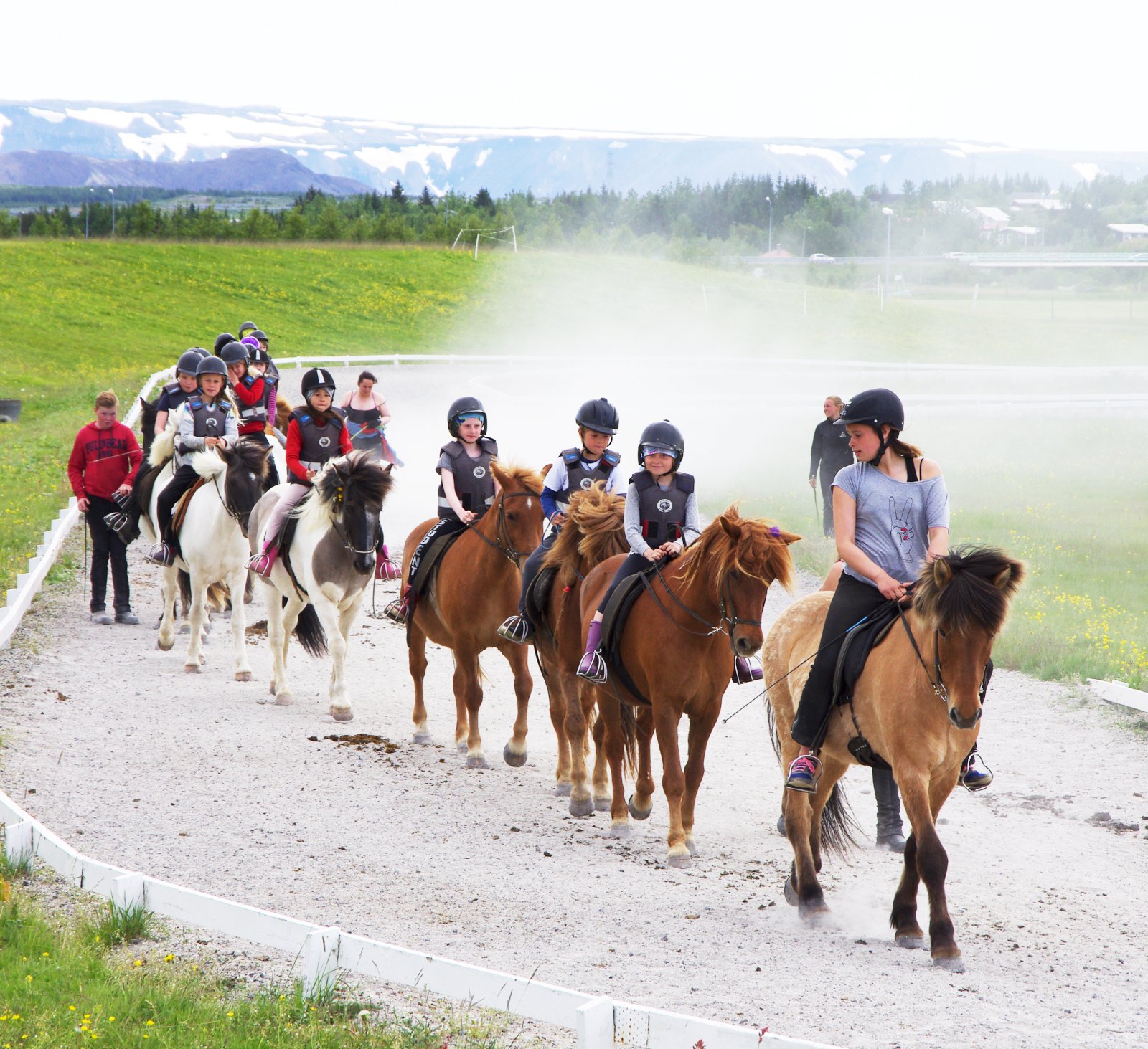 Er hrossarækt búfjárrækt eða ekki?