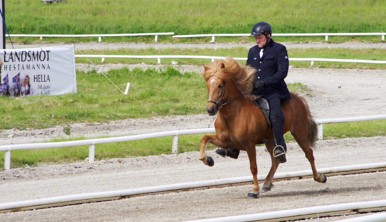 Myndbönd um hross Landsmóta hestamanna