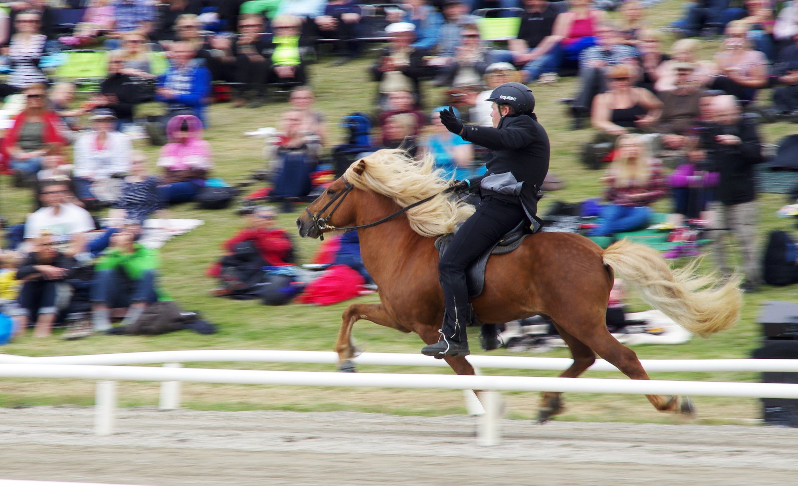 Glæsihestar og snilldarreiðmenn