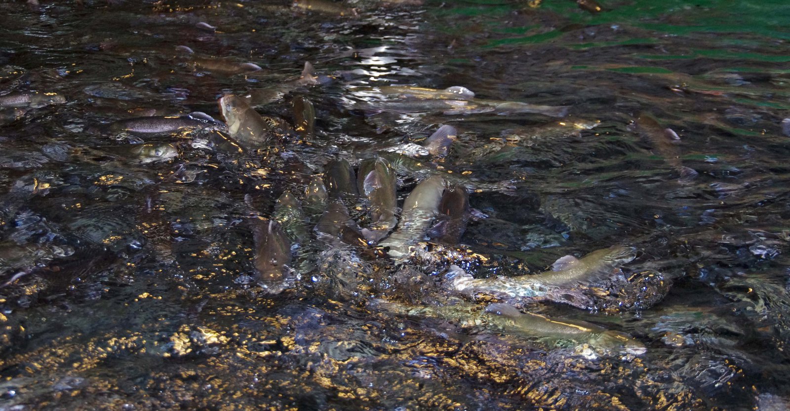 Vætutíð er okkur hagkvæm