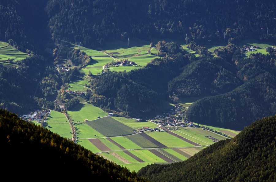 Mikil áhersla á lífræna ræktun