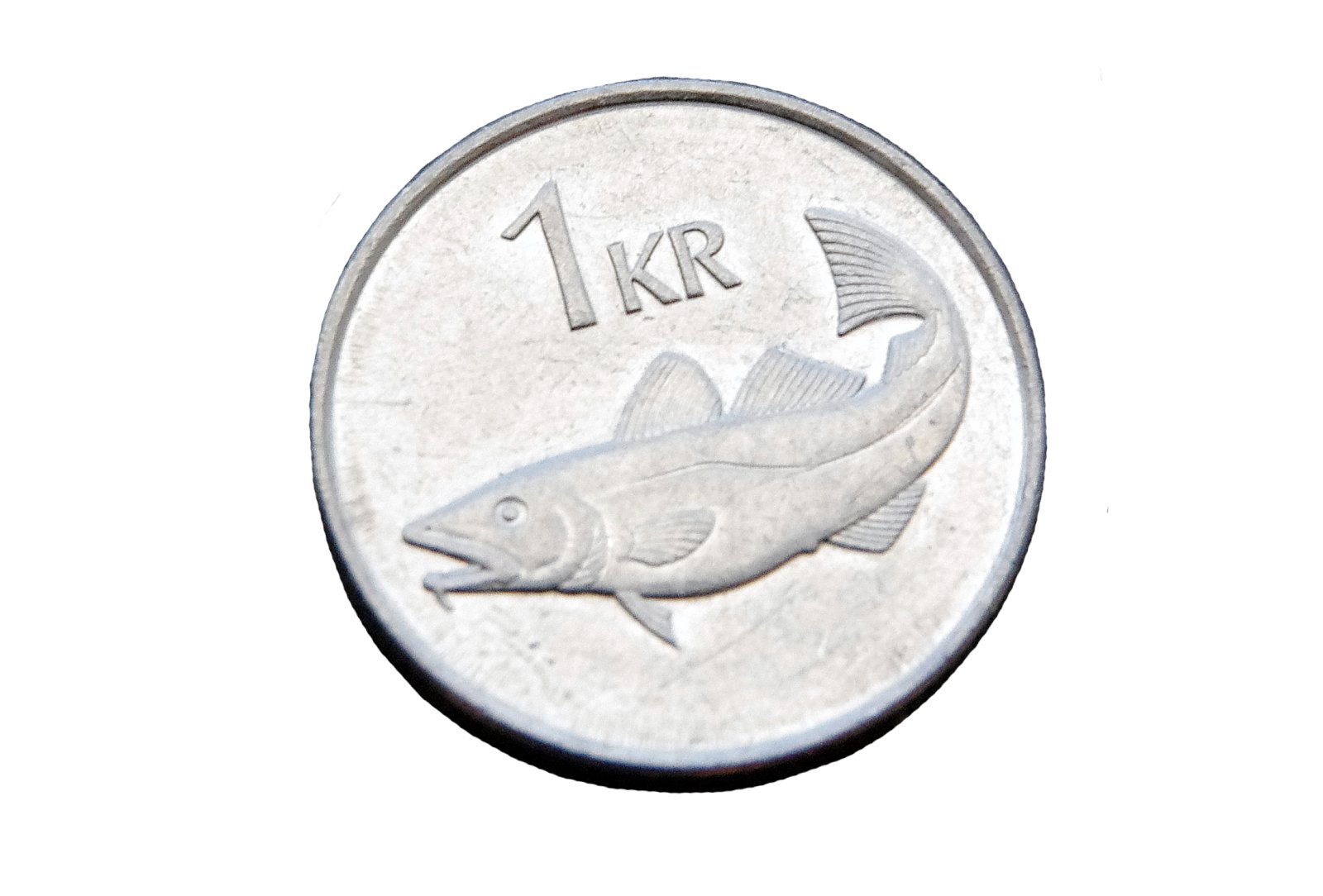 Þorskurinn er kóngurinn hér