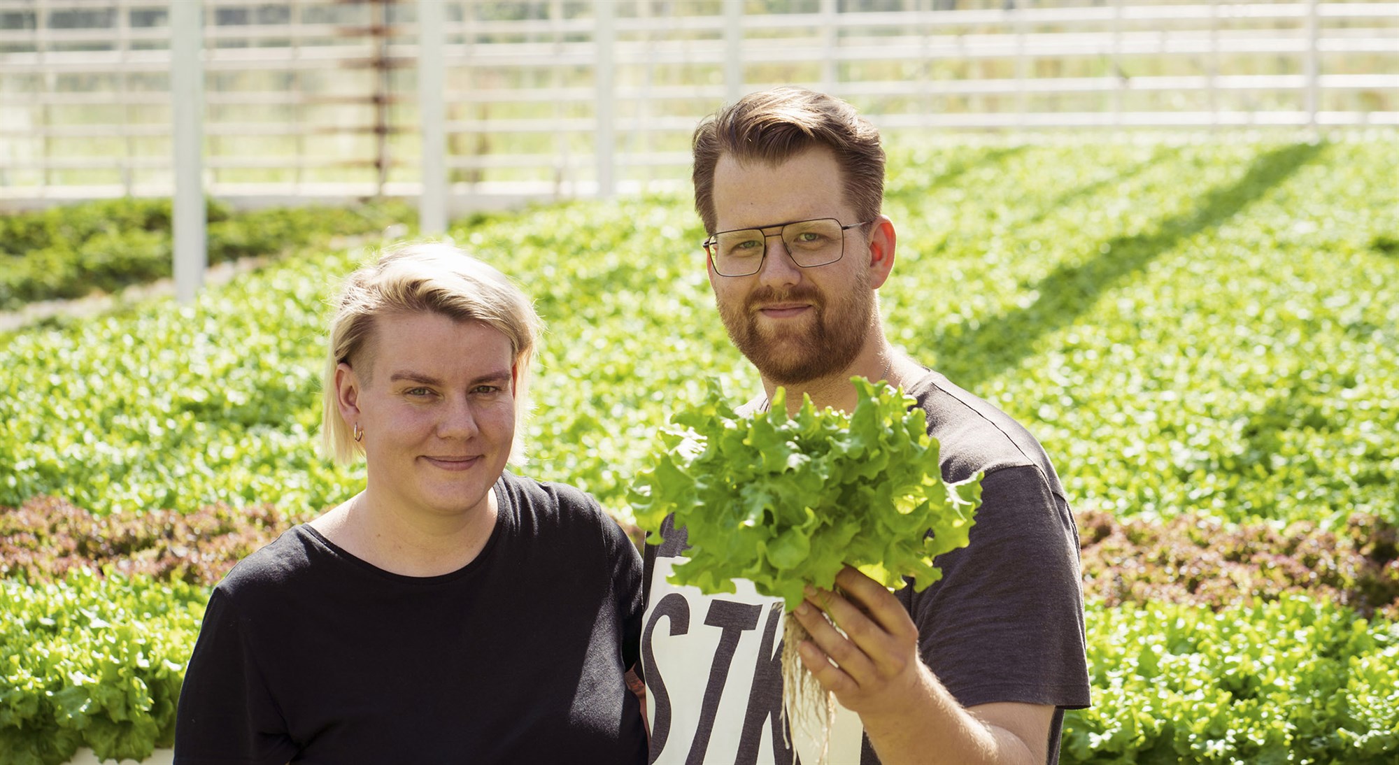 Eldpipar í Heiðmörk