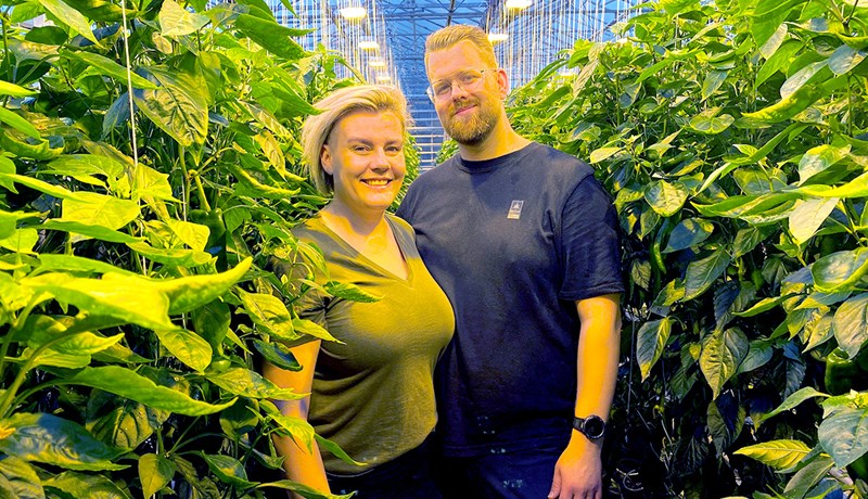 Heiðmerkurbændur ræktendur ársins