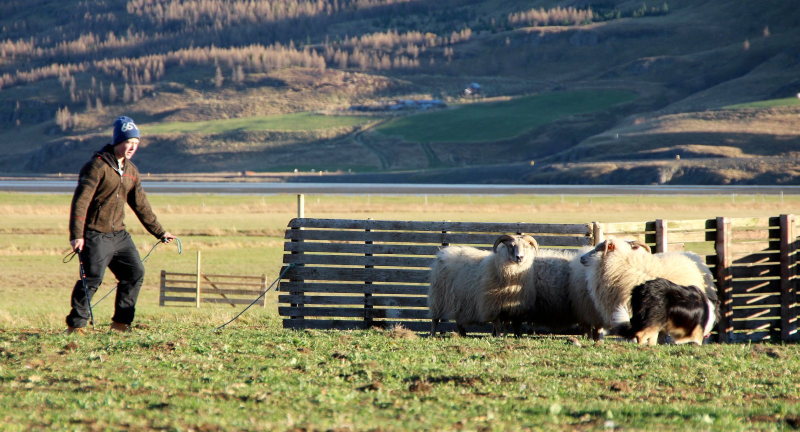Smalahundakeppni í Fljótsdal