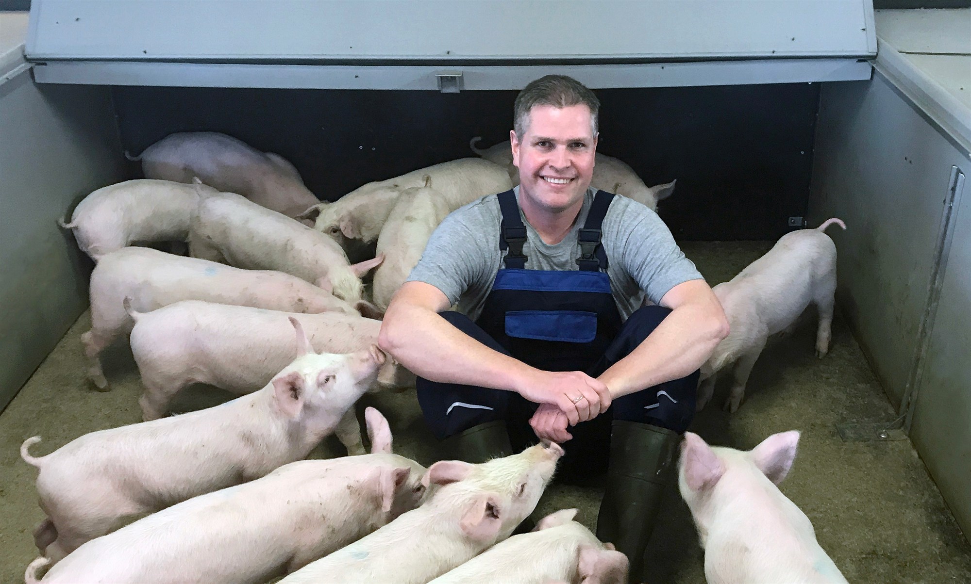 Svínabændur ályktuðu um mikilvægi þess að auka kornbirgðir í landinu