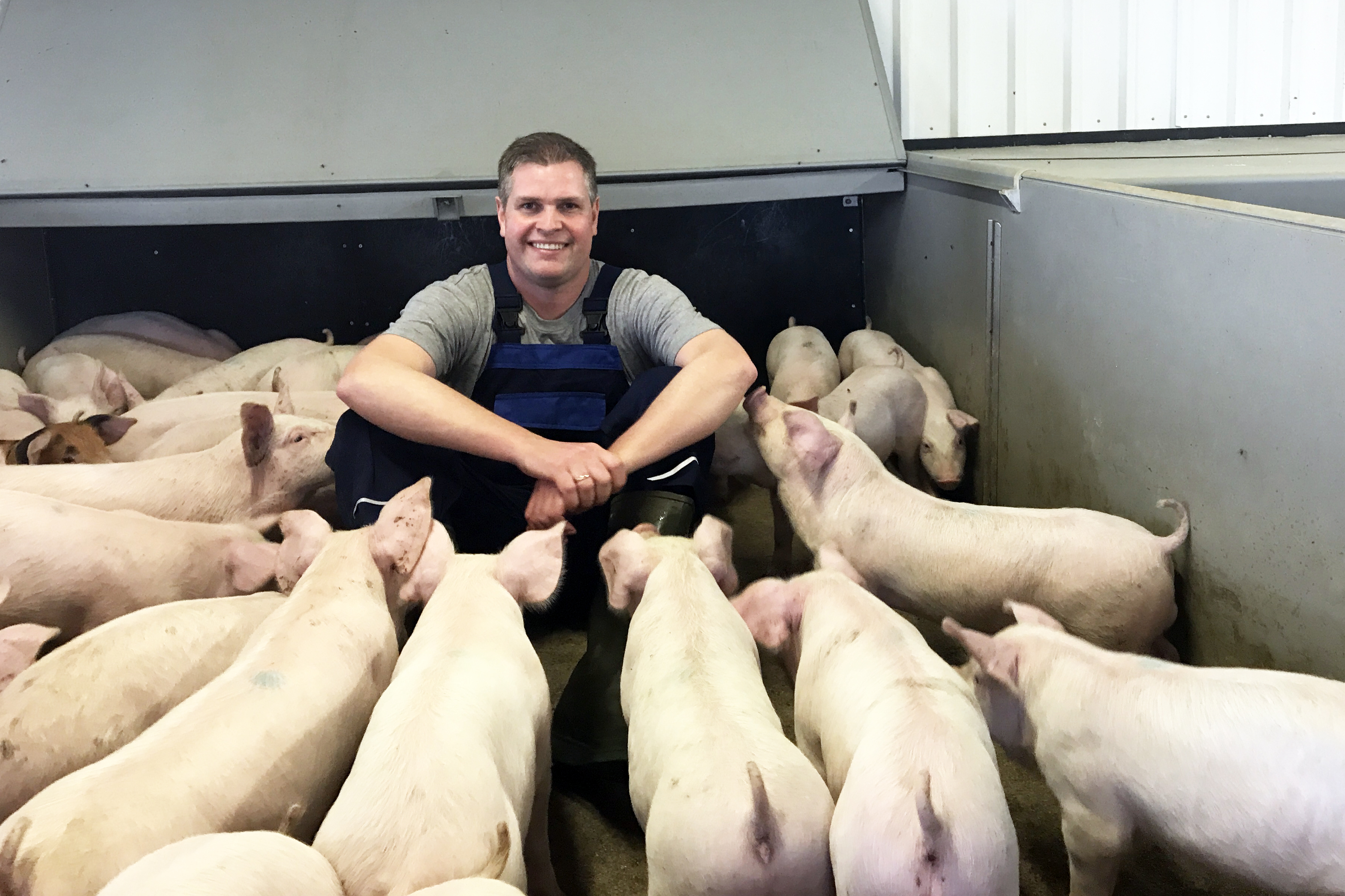 Svínabændur fá frest til aðlögunar