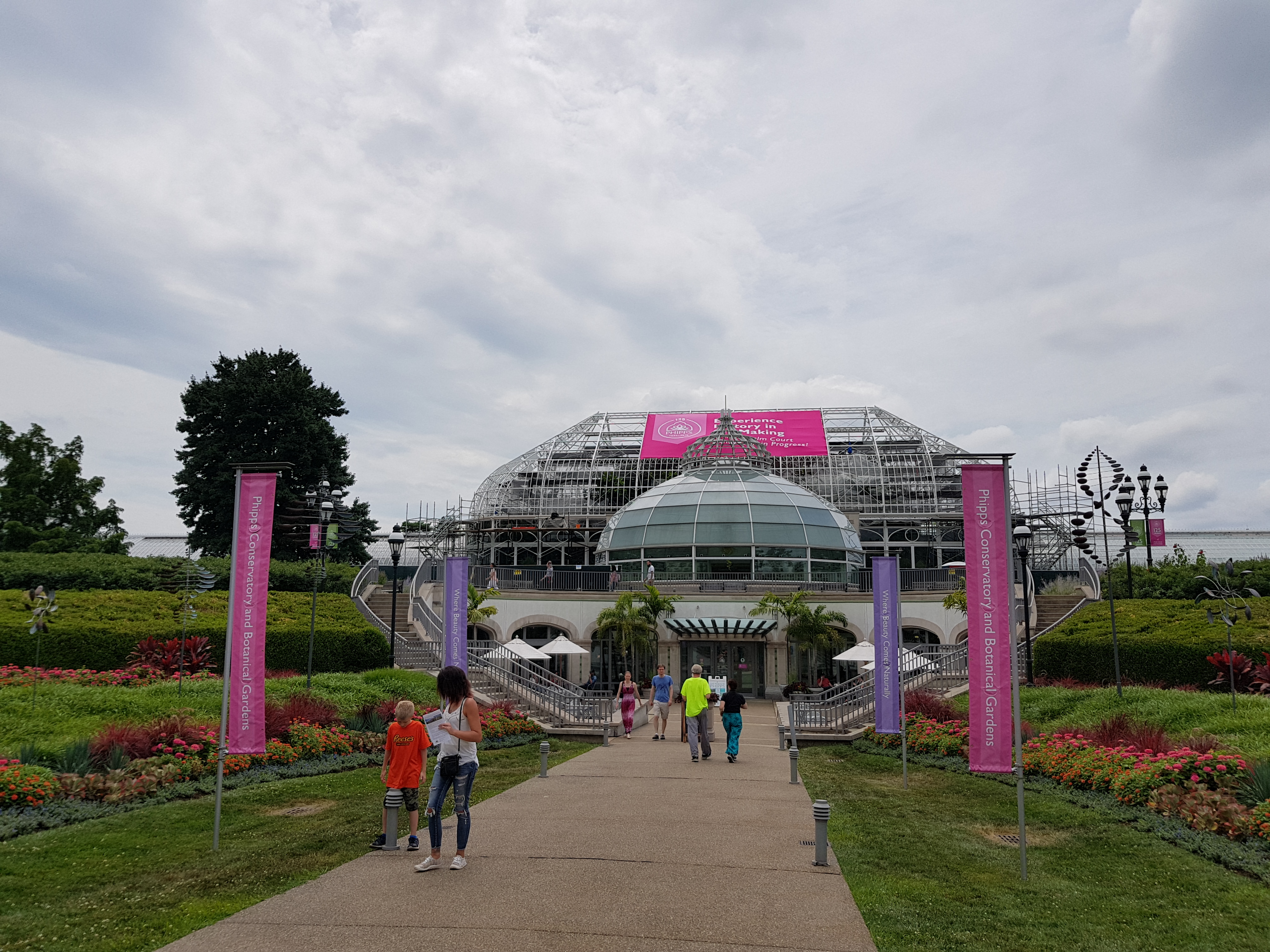 Ferðast um framandi gróður