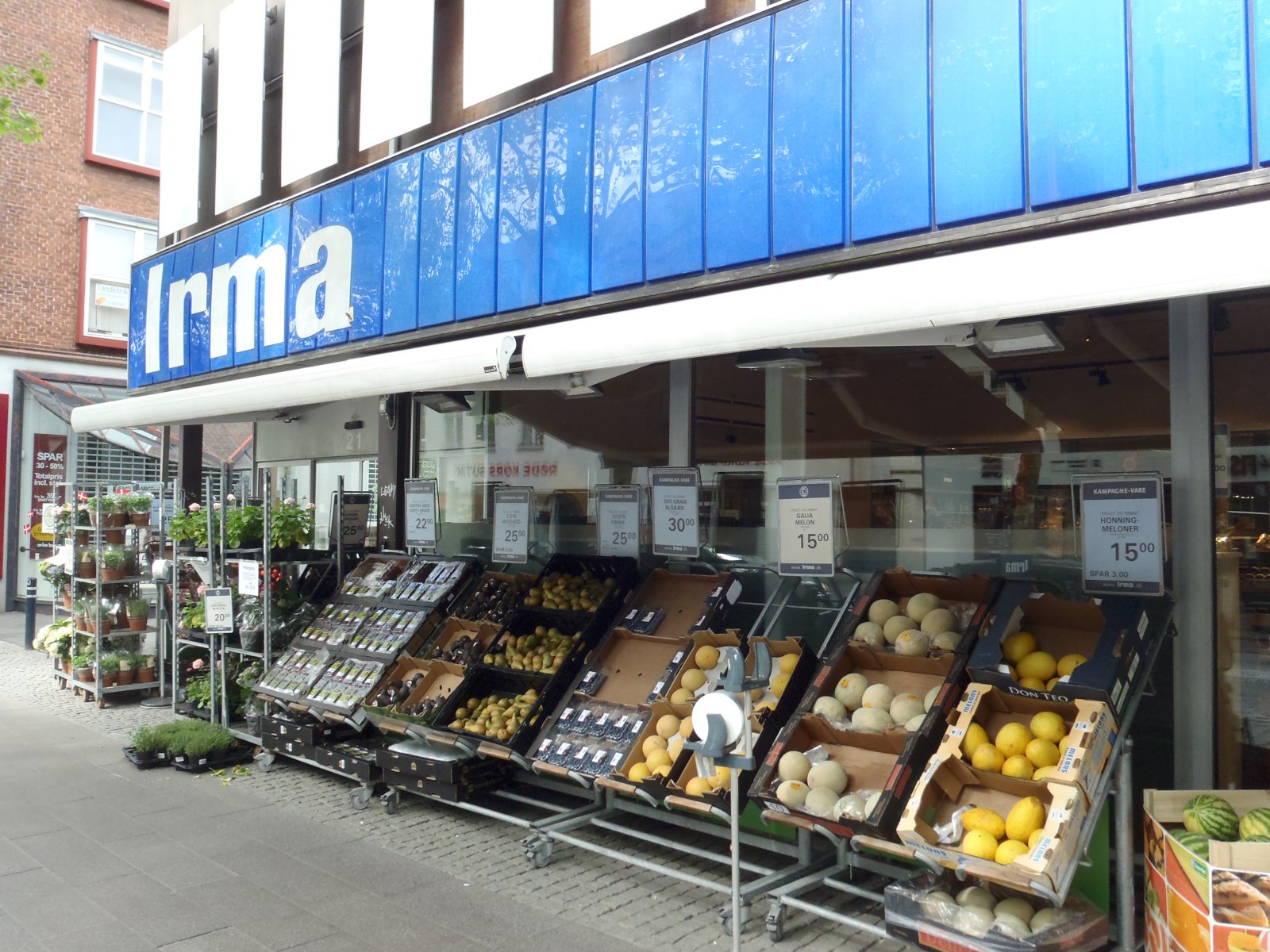 Útflutningur á grænmeti til Danmerkur gæti hafist næsta vetur