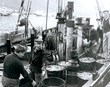 Kveiktu eld til að laða smokkinn á land