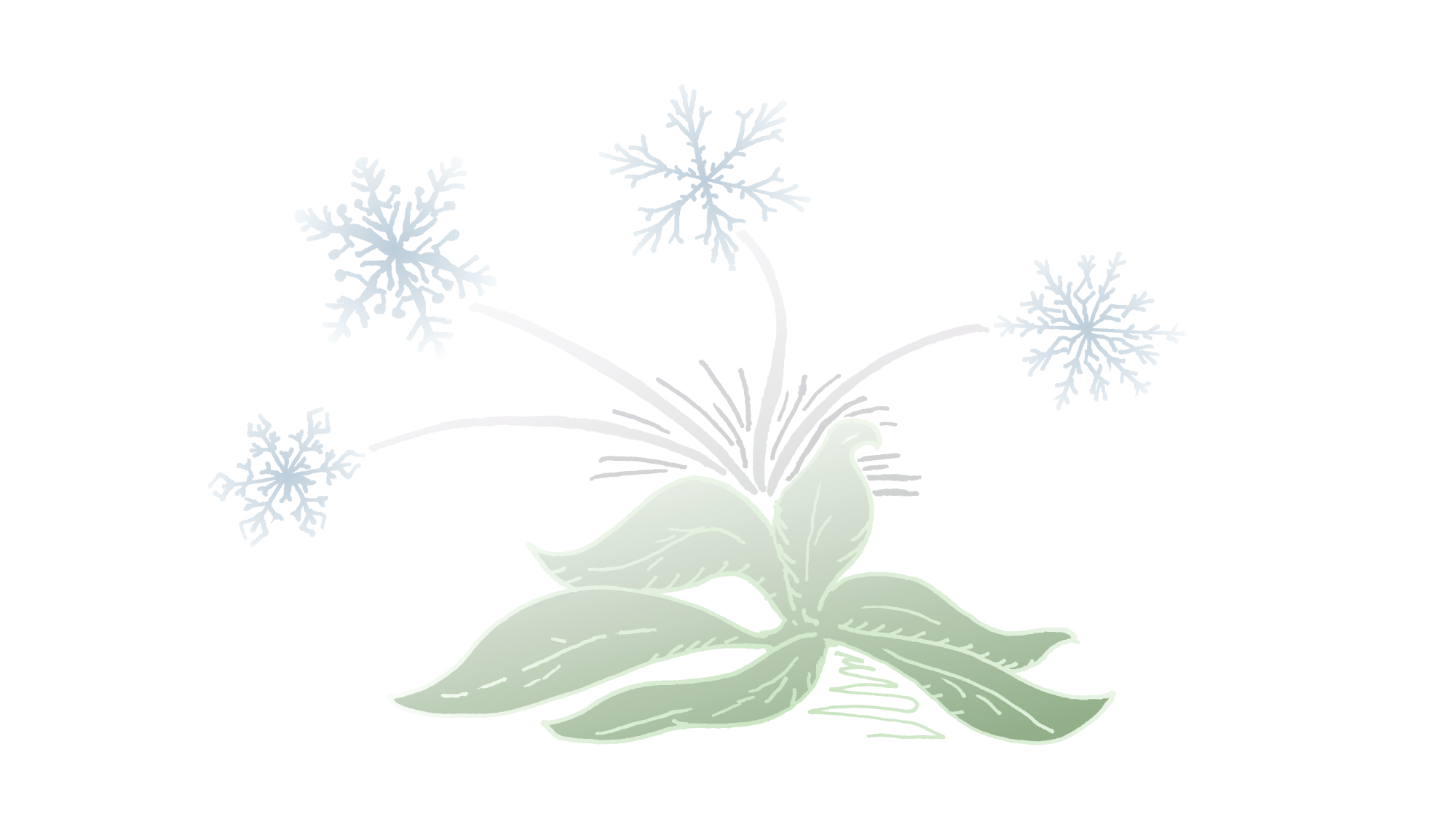 Orsakir kals og möguleg viðbrögð