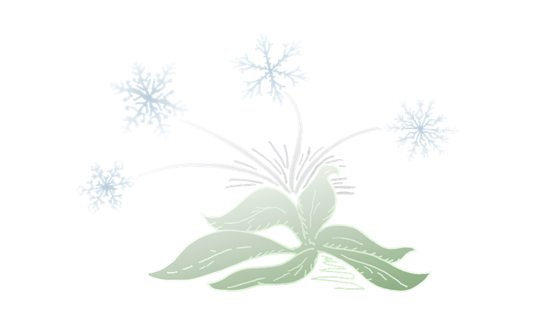 Orsakir kals og möguleg viðbrögð