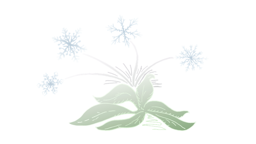 Orsakir kals og möguleg viðbrögð