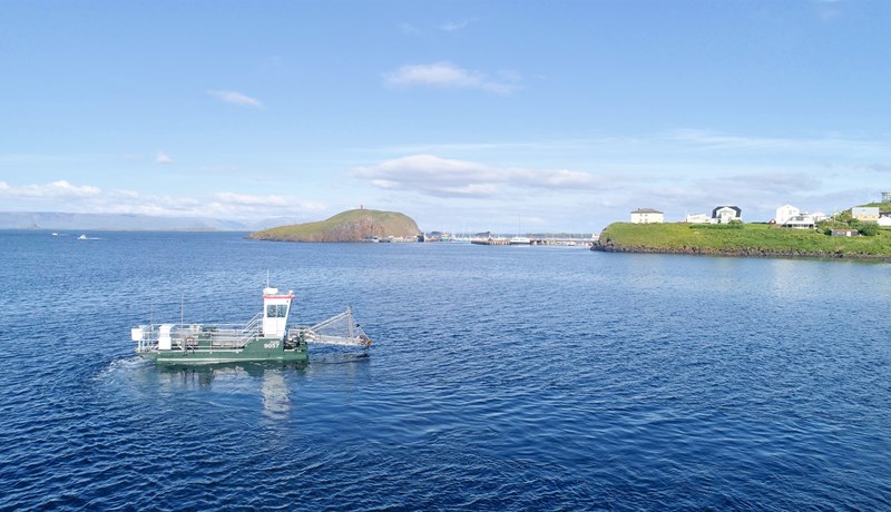 Fyrsta alþjóðlega þörungaráðstefnan á Íslandi haldin í Hörpu