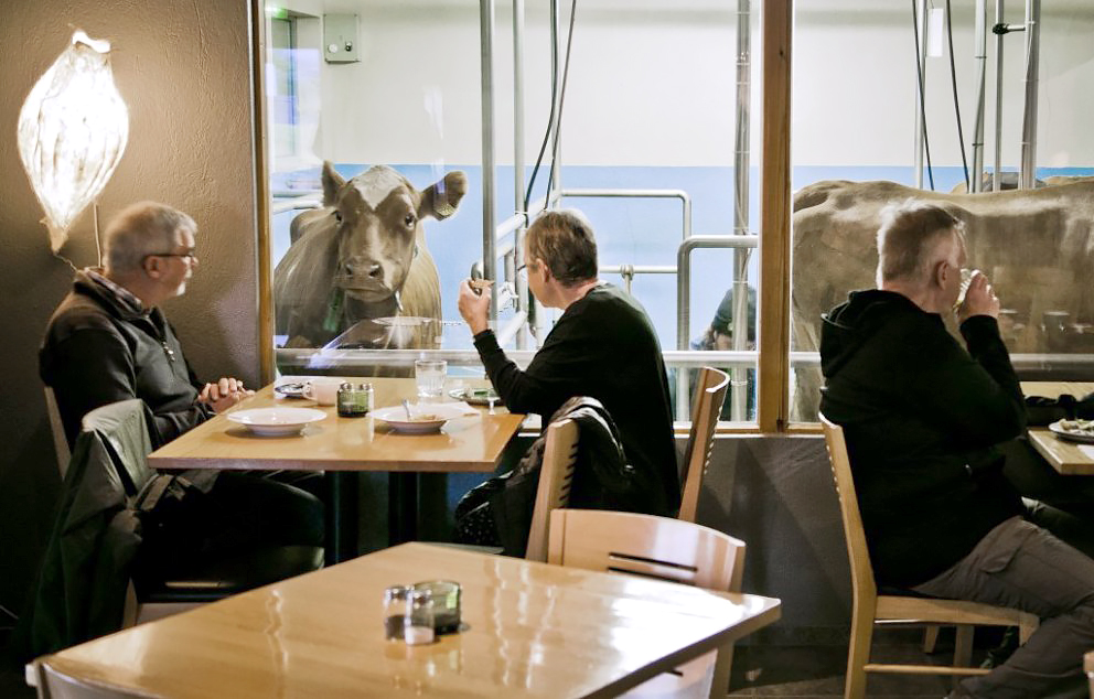 Ekki fengið greitt í marga mánuði