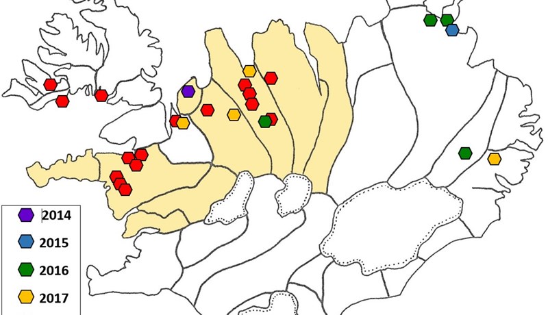 Útrýmum vöðvasullsbandorminum á Íslandi!