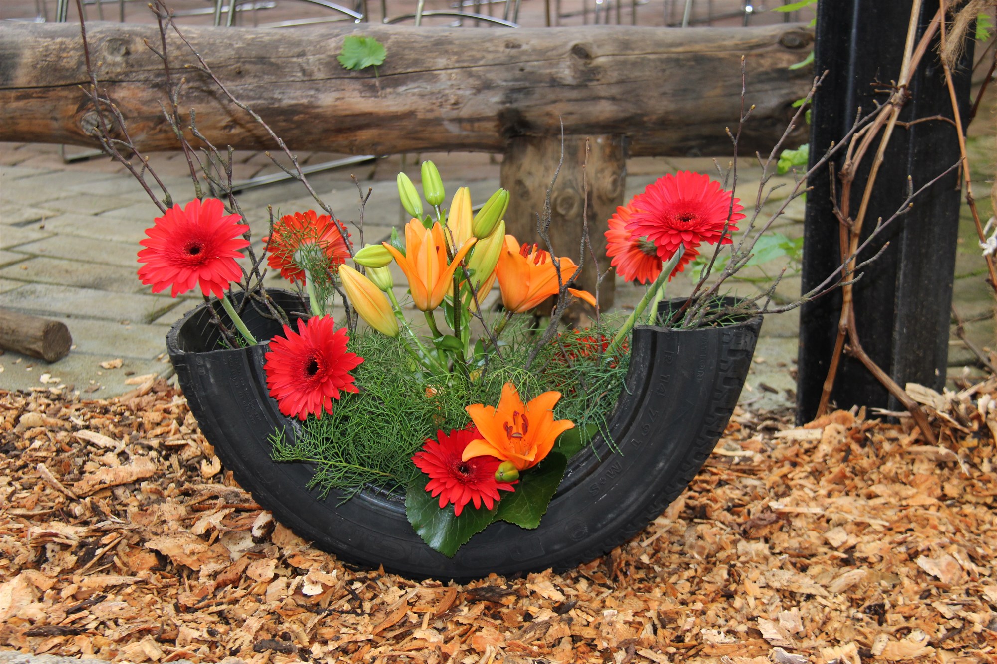 Gerbera – óvenju glæsilegt blóm til afskurðar 