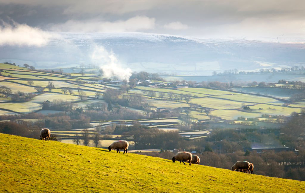 Tengsl milli framtíðar velskrar tungu og landbúnaðar