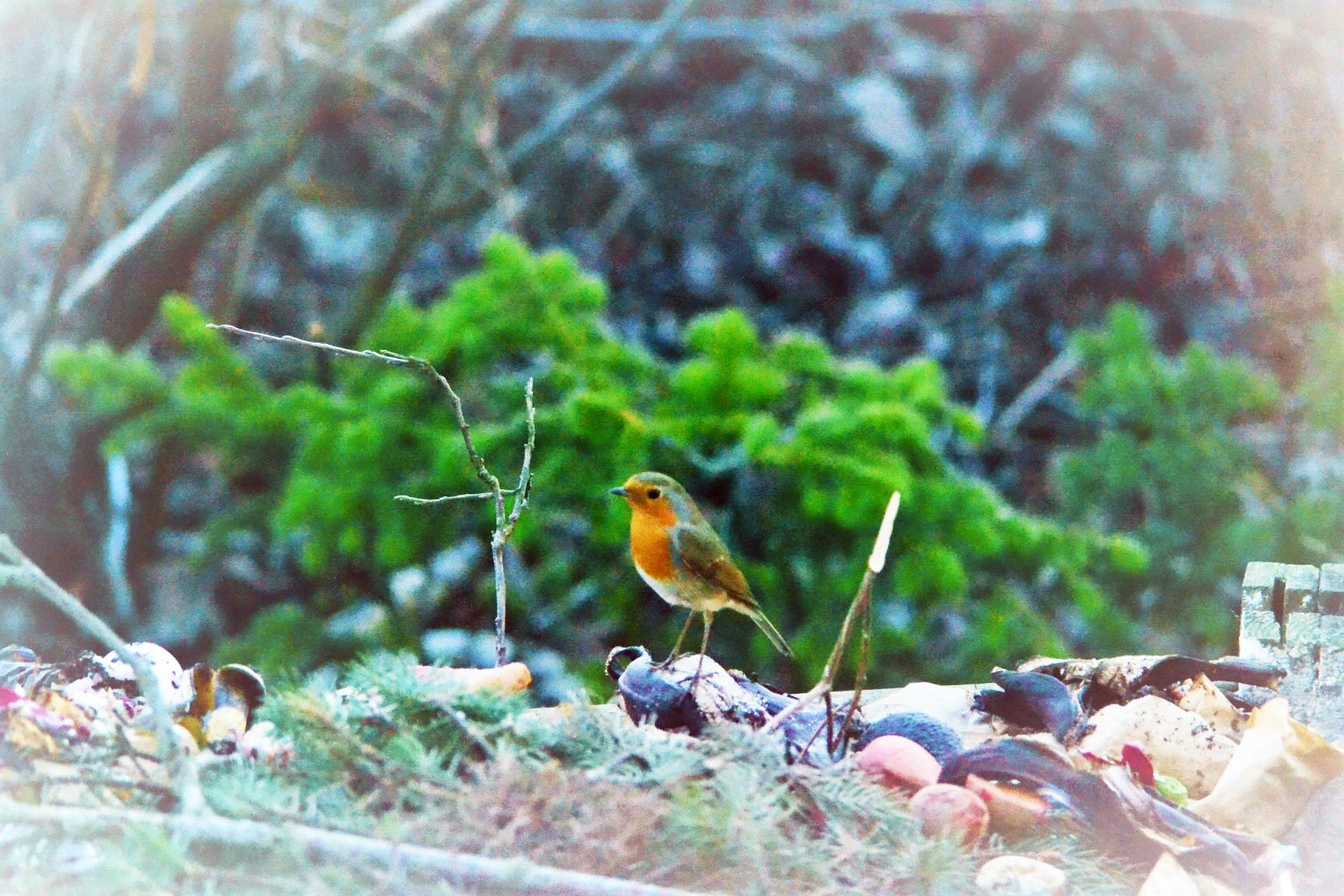 Þjóðminjasafnið og jarðgerð