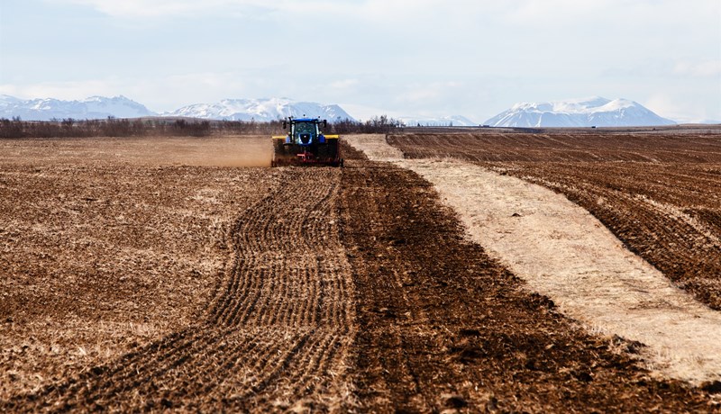 Hvað á að gera við ríkisjarðir?