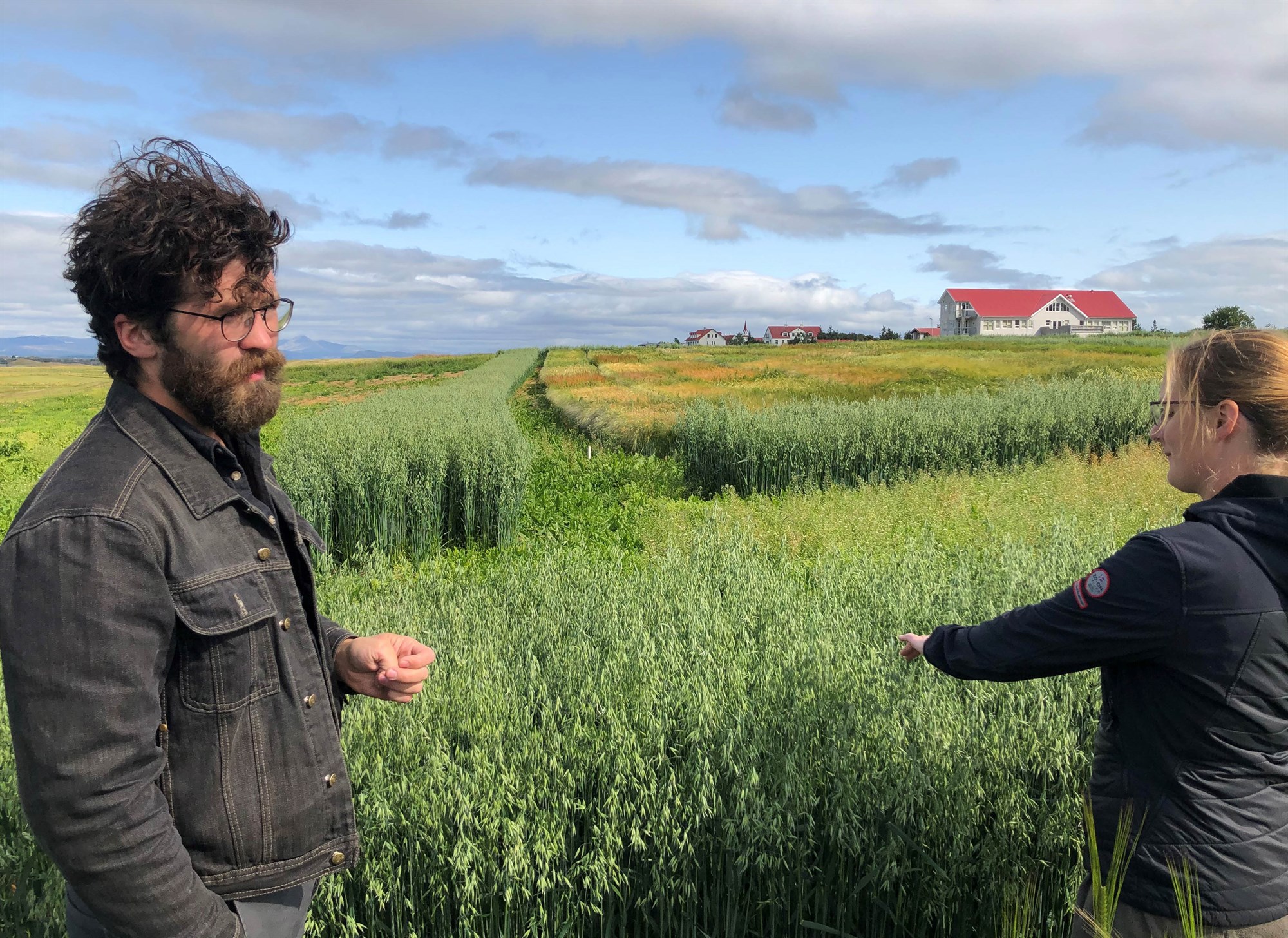 Rýr hlutur landbúnaðarrannsókna úr stuðningskerfinu