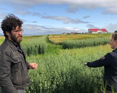 Rýr hlutur landbúnaðarrannsókna úr stuðningskerfinu