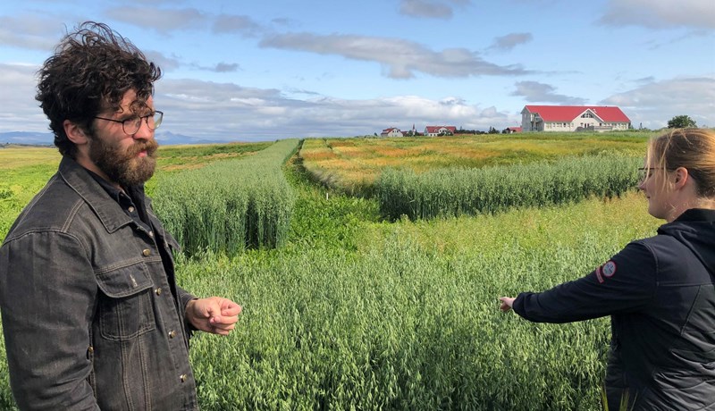 Rýr hlutur landbúnaðarrannsókna úr stuðningskerfinu