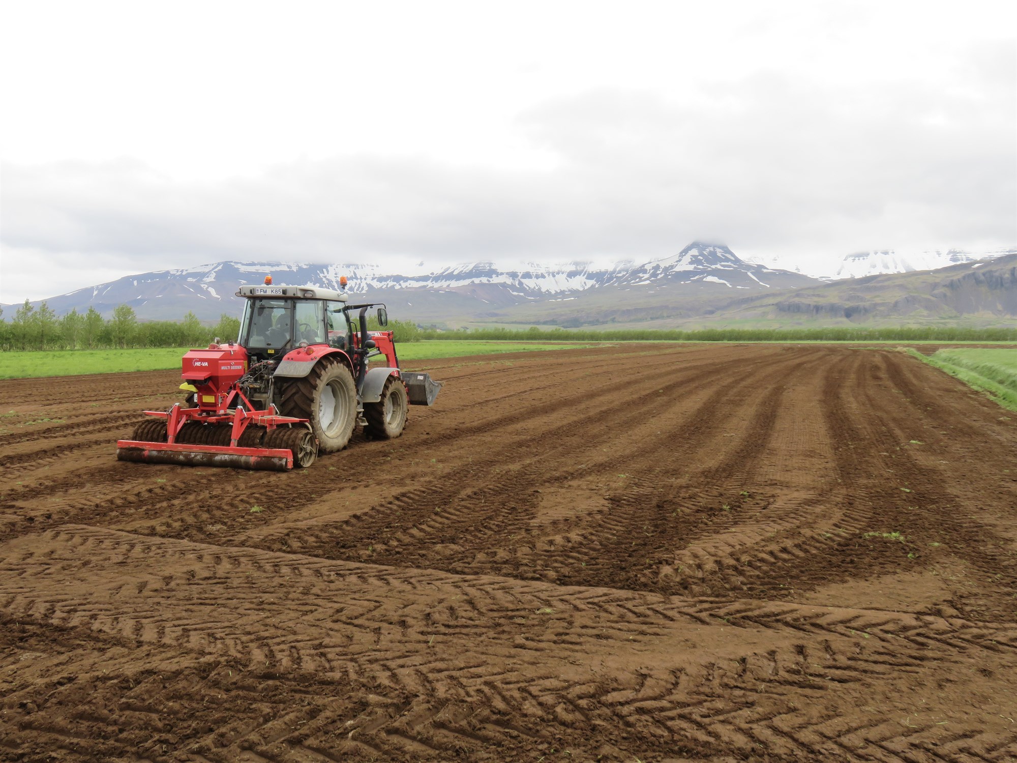 Jarðrækt – Sprotinn