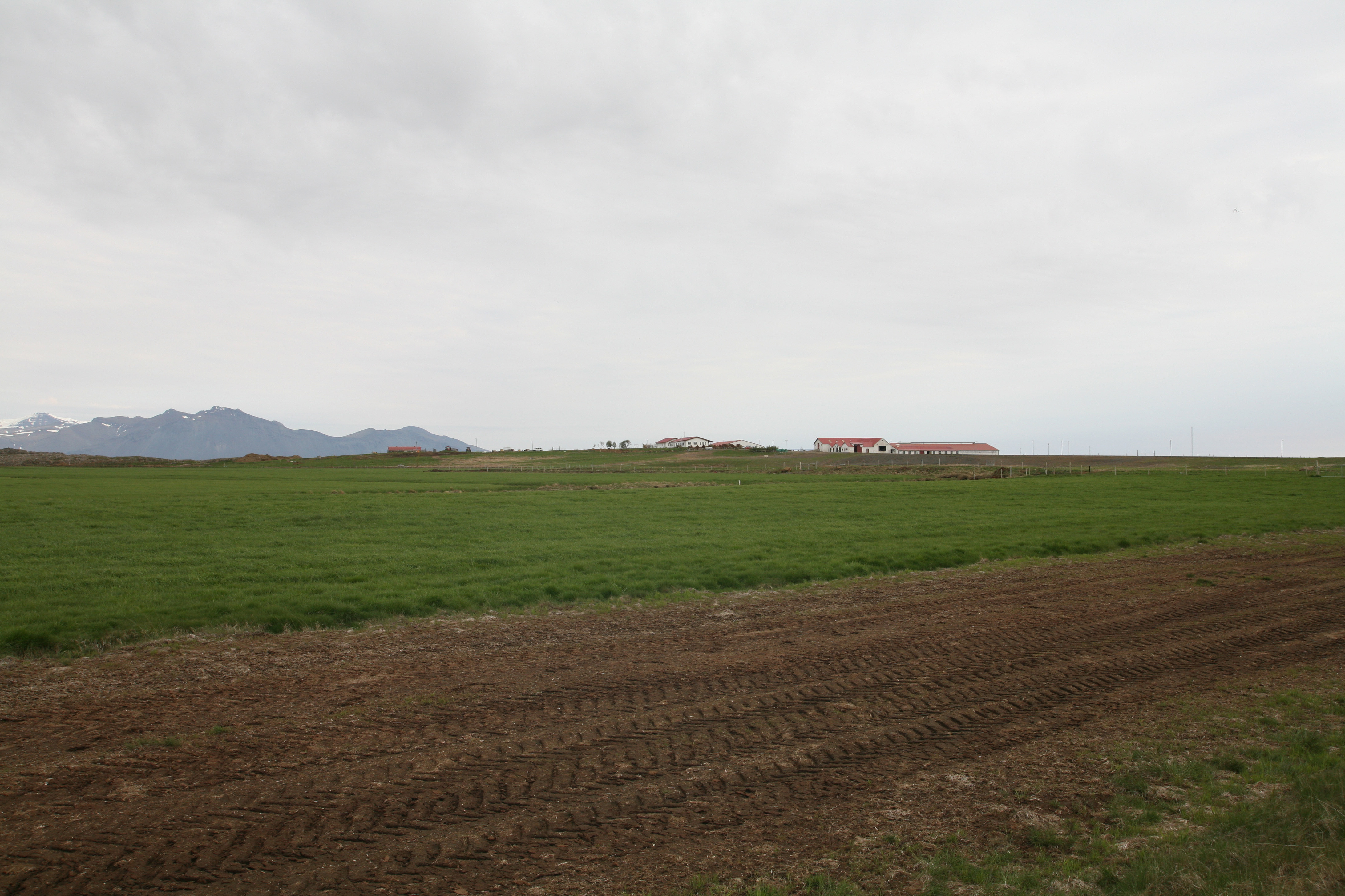 Grunnur að áburðarráðleggingum og niðurstöður síðustu ára