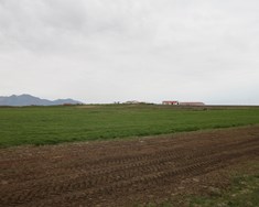 Mikilvægi moldar 