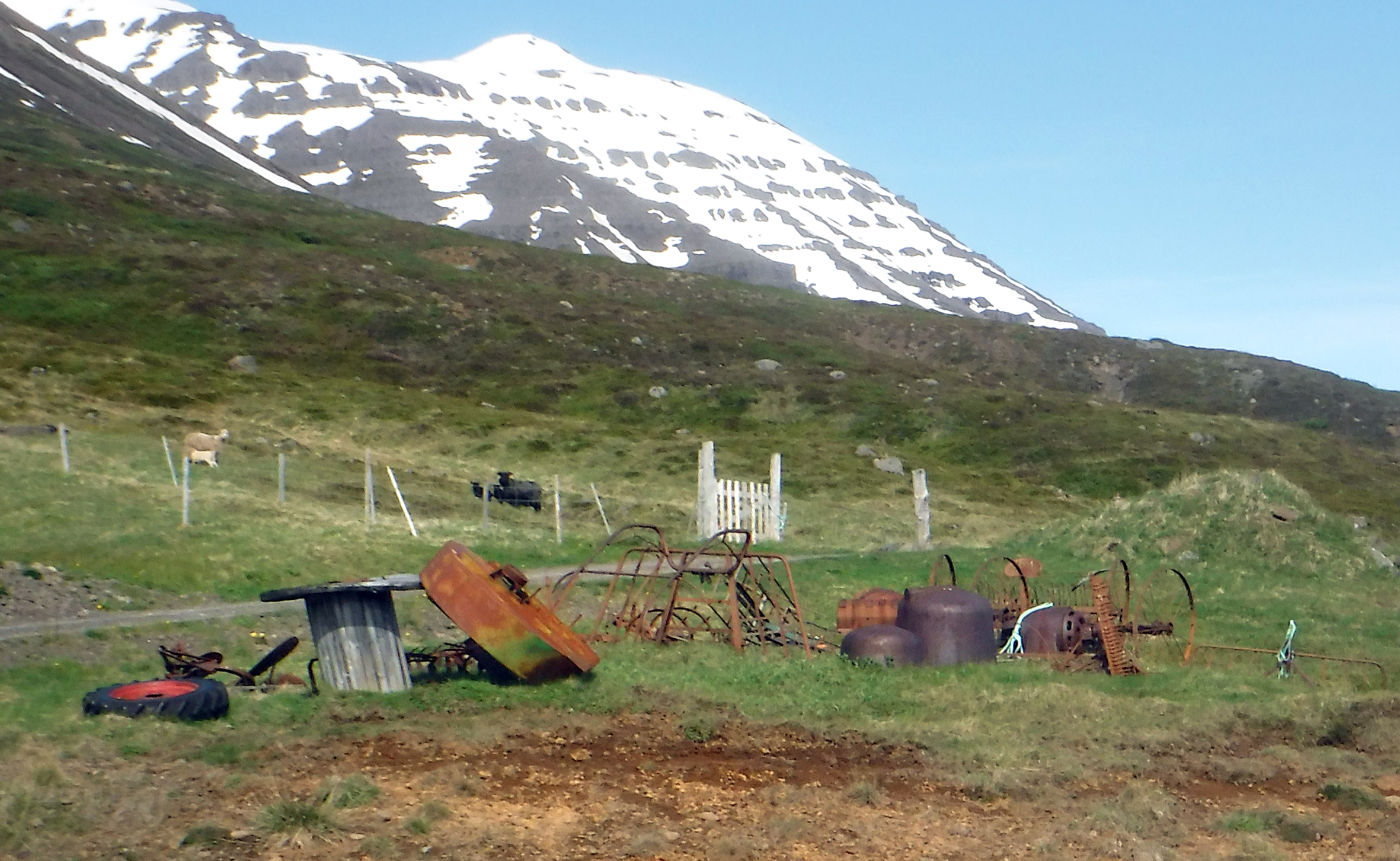 Íslenskir bændur – takk fyrir snyrtilegar sveitir