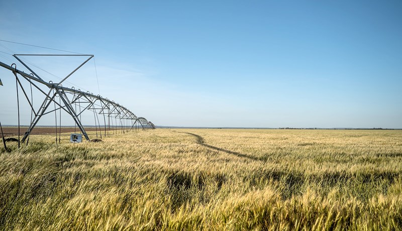 Grunnvatn á þrotum