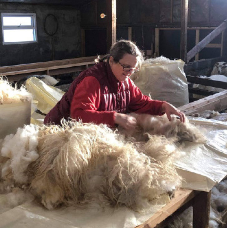 Hvað segja bændur nú … um ullina?