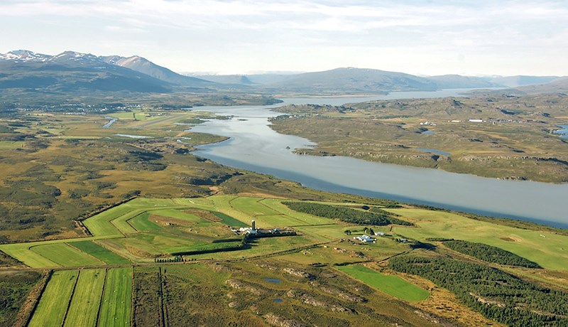 Skógarbændur eru að ná frábærum árangri á jörðum sínum